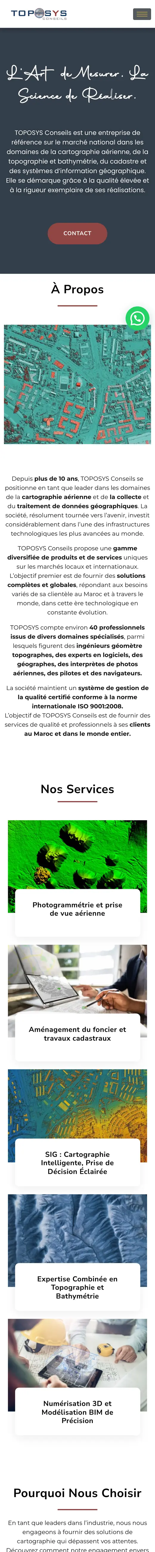TopoSys, version mobile
